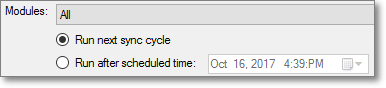 There are two radio buttons: &quot;Run next sync cycle&quot; and &quot;Run after scheduled time&quot;. The date and time can be entered manually in the field; for the date, you can also use a date picker.
