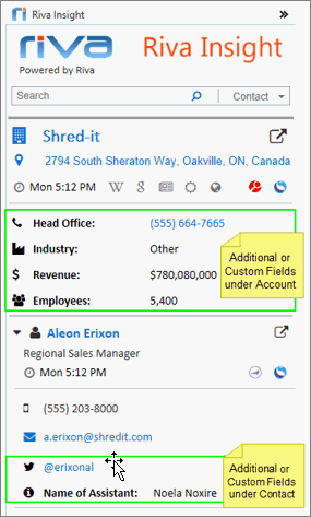 The sample Riva Insight 2017.3 screen shot displays these examples of additional fields under the account: Head Office phone number, Industry type, Revenue, and number of employees. The example of an additional field under the contact is Name of Assistant.